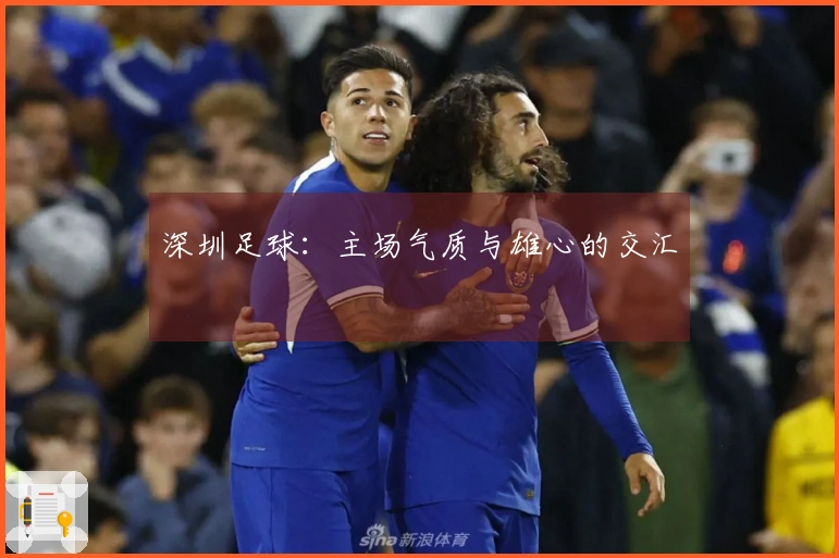 深圳足球：主场气质与雄心的交汇