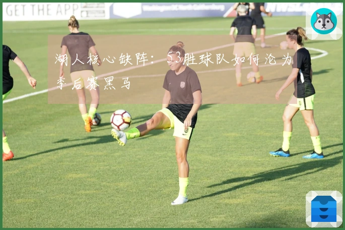 湖人核心缺阵：53胜球队如何沦为季后赛黑马