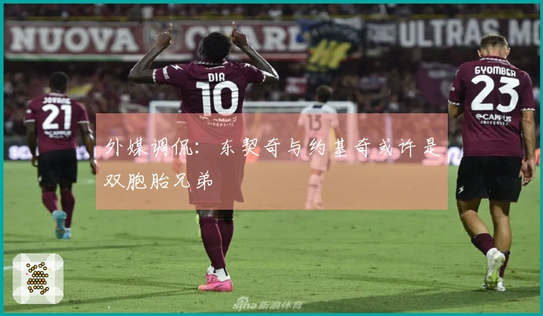 外媒调侃:东契奇与约基奇或许是双胞胎兄弟