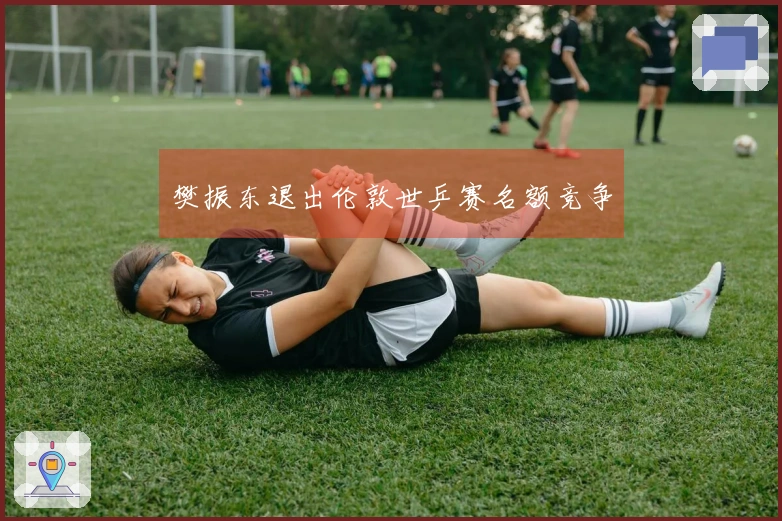 樊振东退出伦敦世乒赛名额竞争