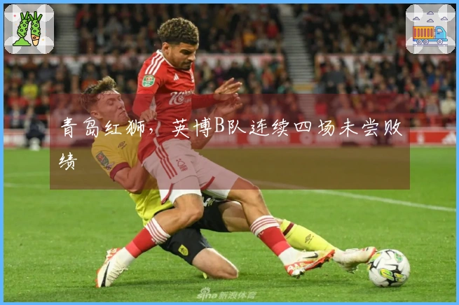 青岛红狮，英博B队连续四场未尝败绩